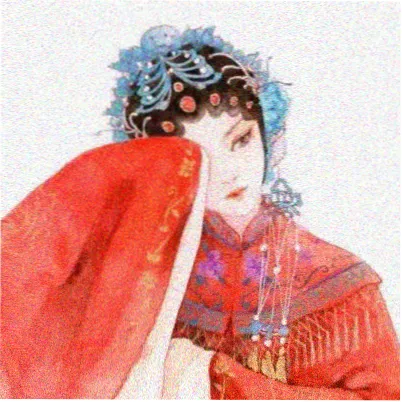 观众Momo的头像